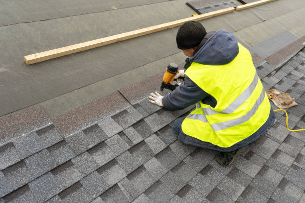 Best Roof Gutter Cleaning  in West Rancho Dominguez, CA